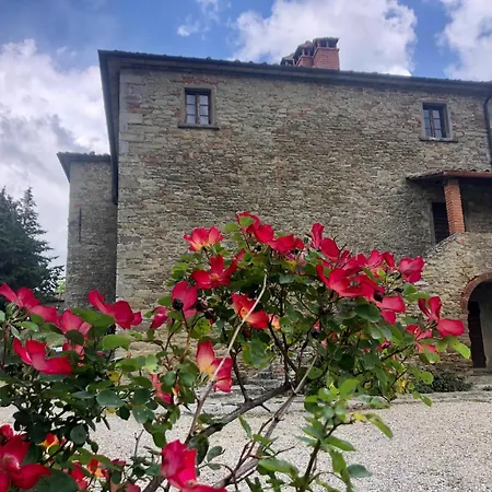 Tatil Evi Quaint With Pool *