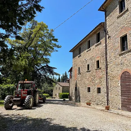 Quaint With Pool Tatil Evi